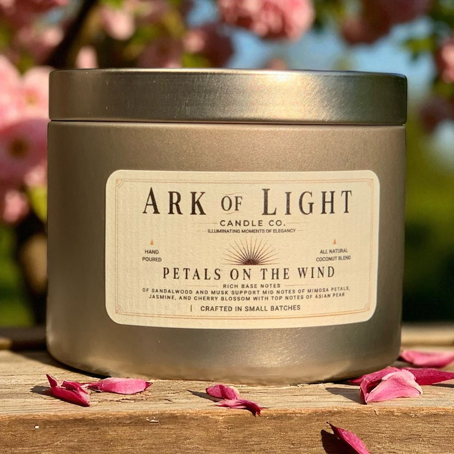 The Wanderlight Collection