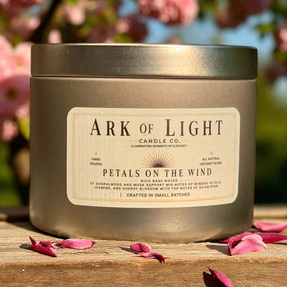 The Wanderlight Collection